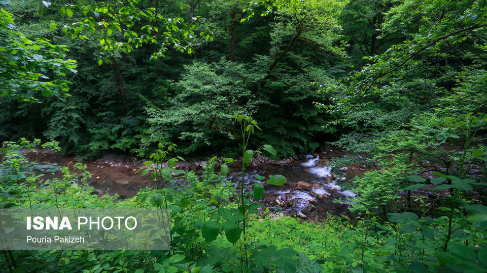 طبیعت بهاری «سیاهکل»