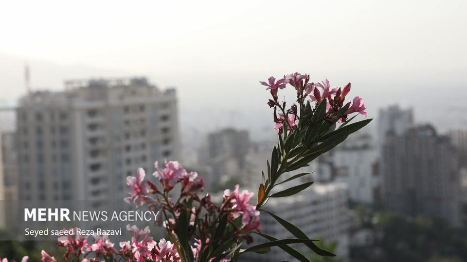 آلودگی شدید هوای پایتخت