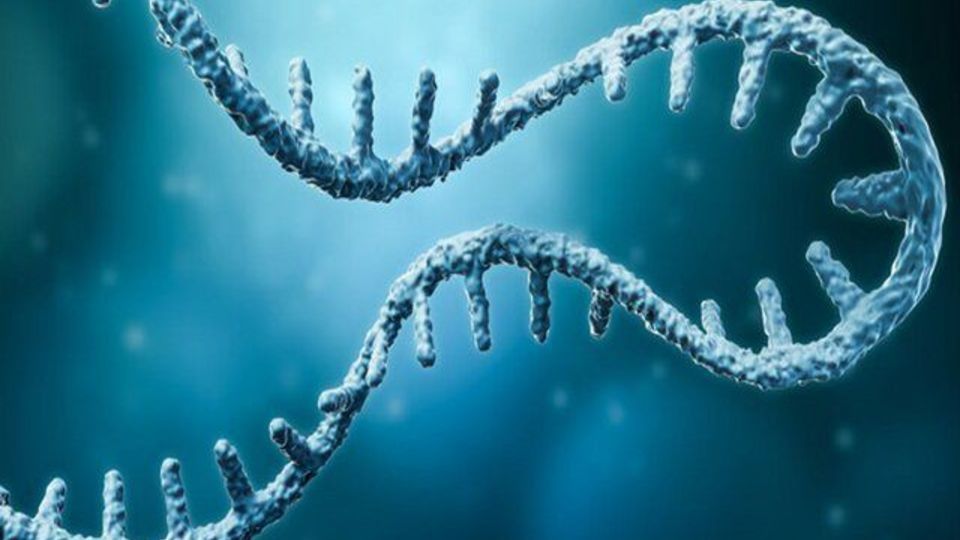 ابداع روش جدیدی که می‌تواند درمان سرطان را متحول کند