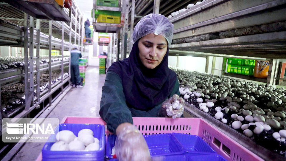 گزارش تصویری سفر رئیس جمهور به کردستان