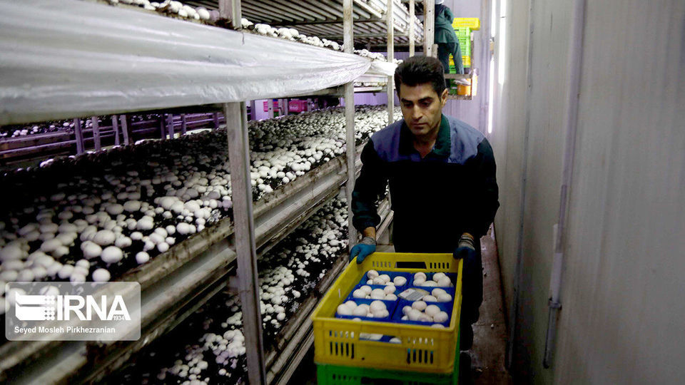 گزارش تصویری سفر رئیس جمهور به کردستان