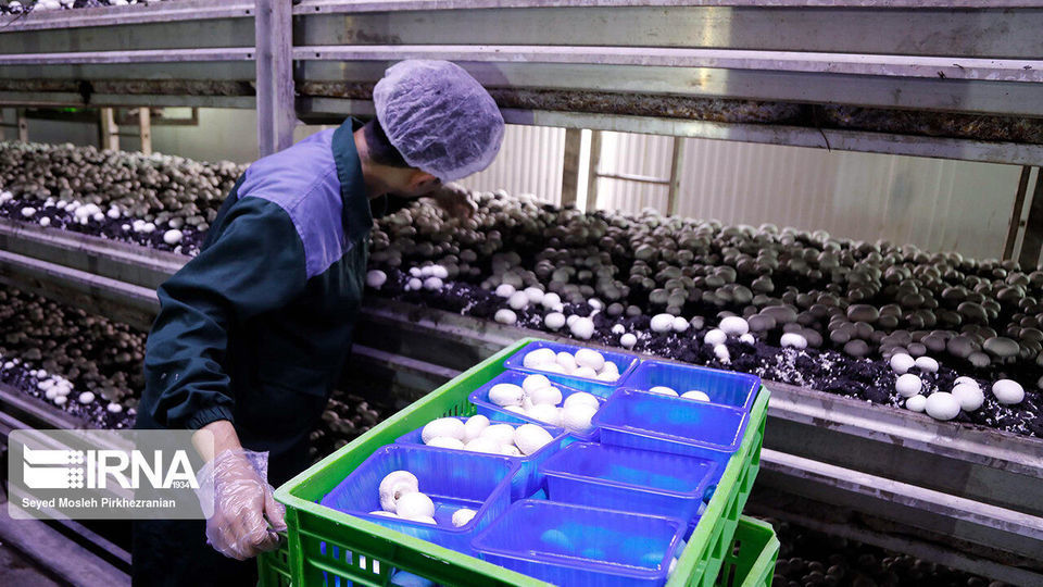 گزارش تصویری سفر رئیس جمهور به کردستان