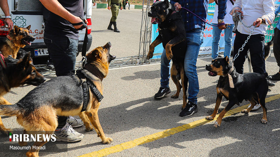 پنجاه‌ و‌ هفتمین طرح رعد پليس تهران 