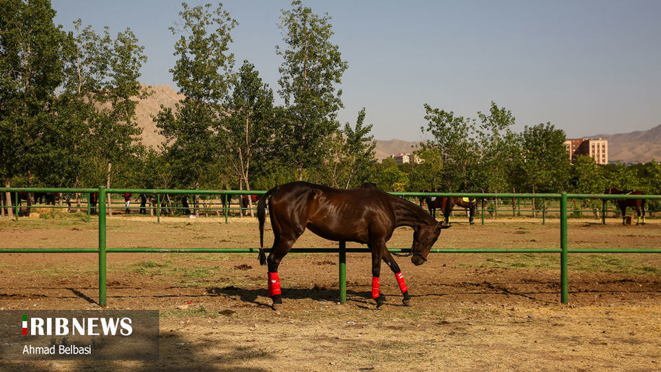 مسابقات چوگان جام سردار شهید حاج قاسم سلیمانی 