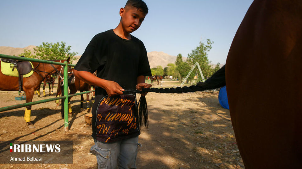 مسابقات چوگان جام سردار شهید حاج قاسم سلیمانی 