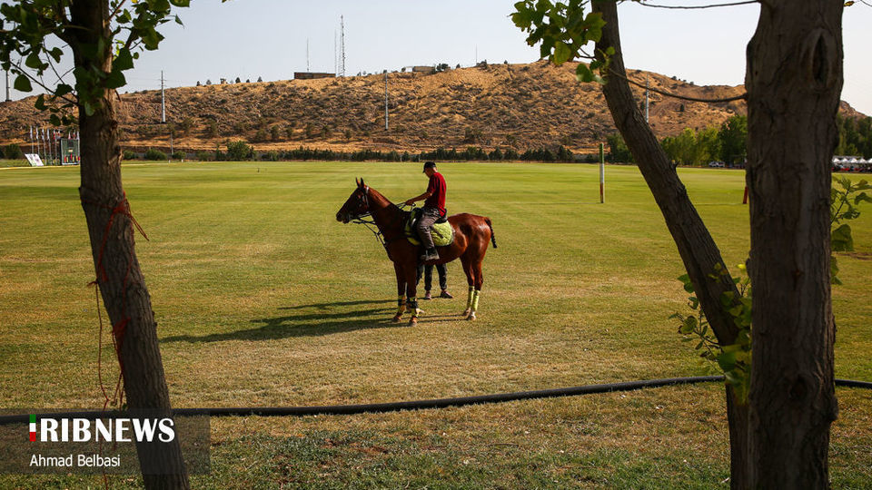 مسابقات چوگان جام سردار شهید حاج قاسم سلیمانی 