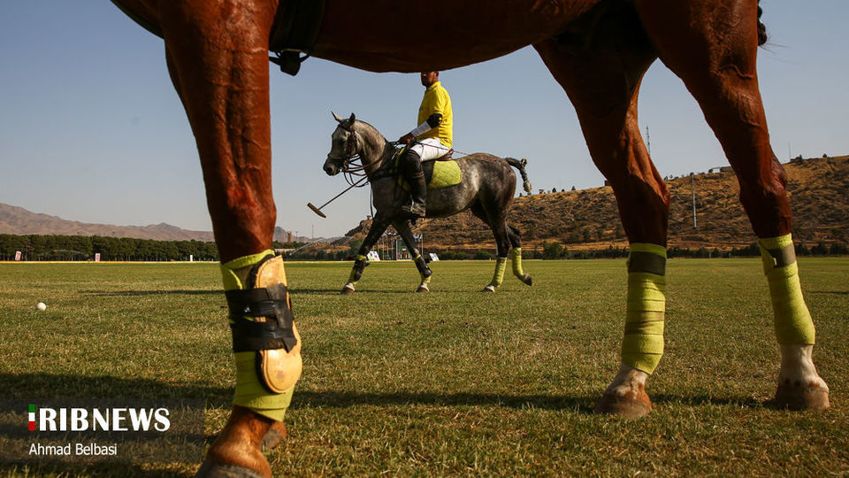 مسابقات چوگان جام سردار شهید حاج قاسم سلیمانی 