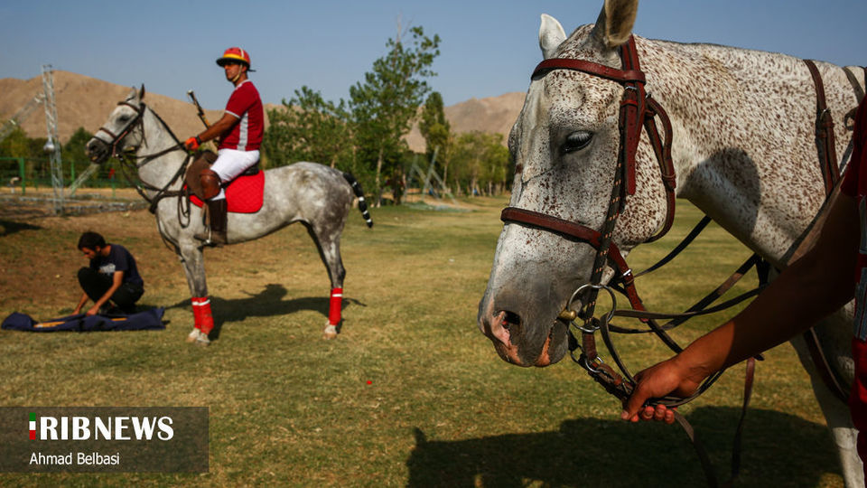 مسابقات چوگان جام سردار شهید حاج قاسم سلیمانی 