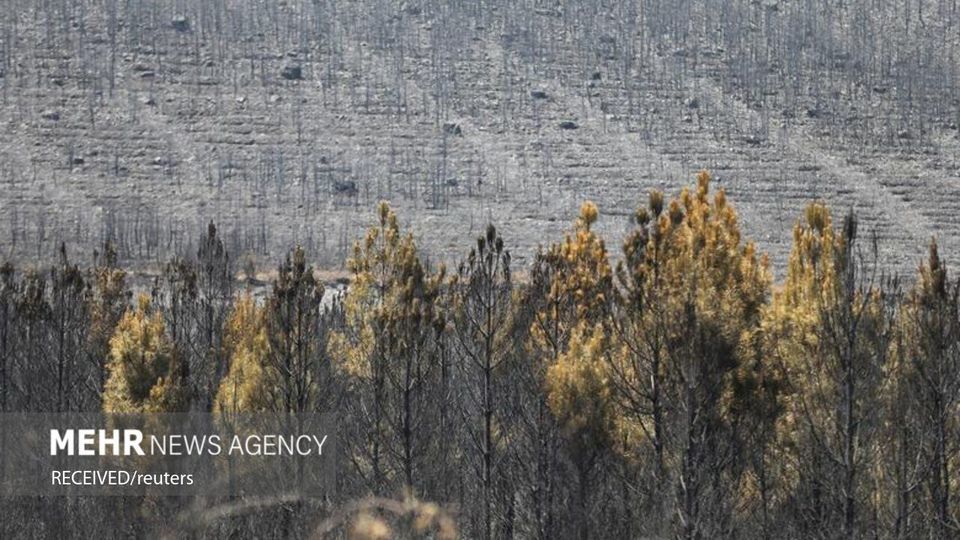 آتش سوزی سراسری در اروپا