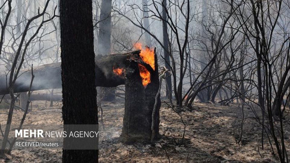 آتش سوزی سراسری در اروپا