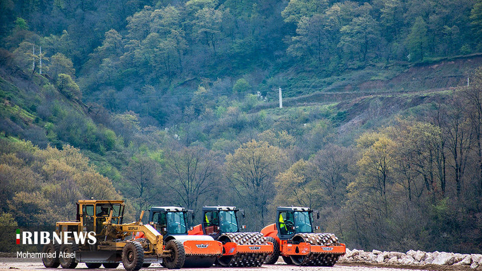 پاک تراشی، زخمی عمیق در جنگل‌های هیرکانی 