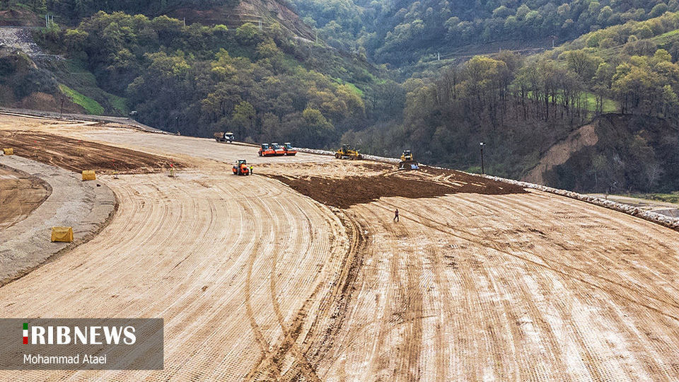 پاک تراشی، زخمی عمیق در جنگل‌های هیرکانی 