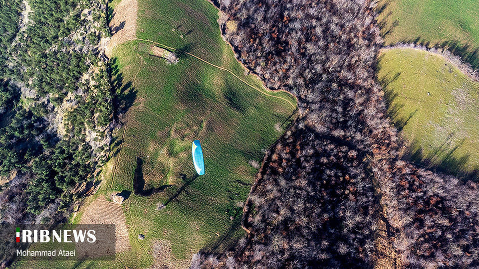 پاک تراشی، زخمی عمیق در جنگل‌های هیرکانی 