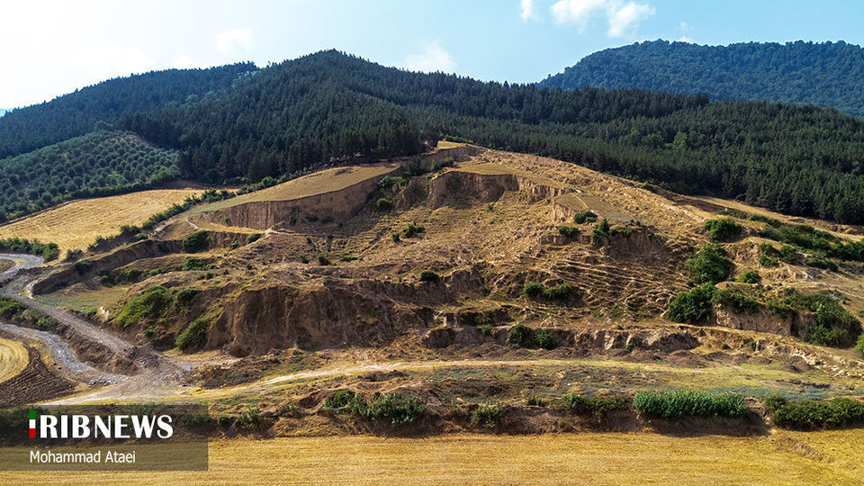 پاک تراشی، زخمی عمیق در جنگل‌های هیرکانی 