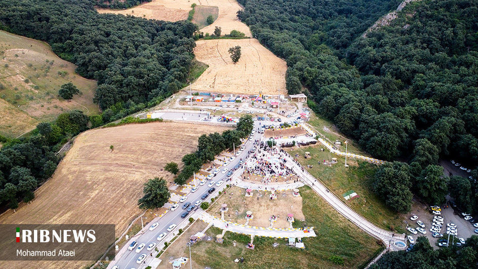 پاک تراشی، زخمی عمیق در جنگل‌های هیرکانی 