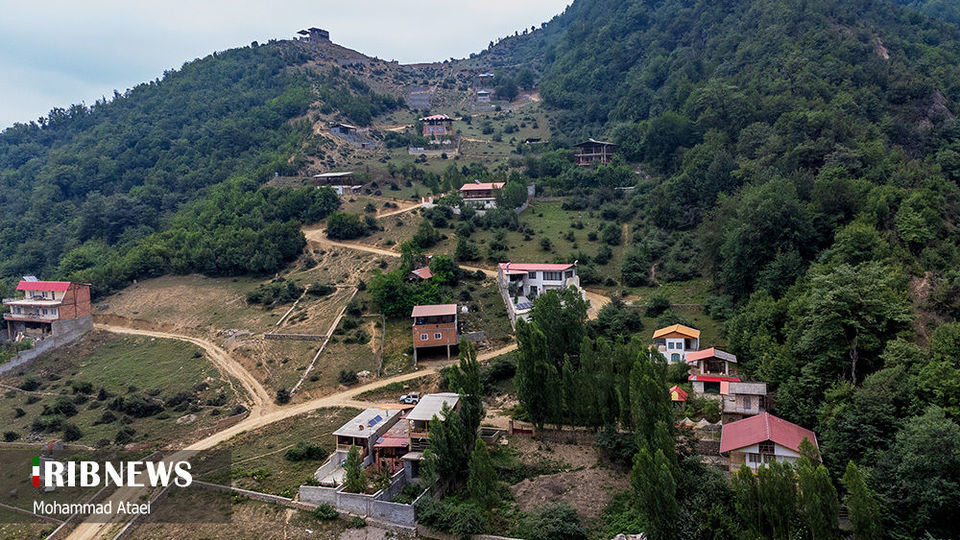 پاک تراشی، زخمی عمیق در جنگل‌های هیرکانی 