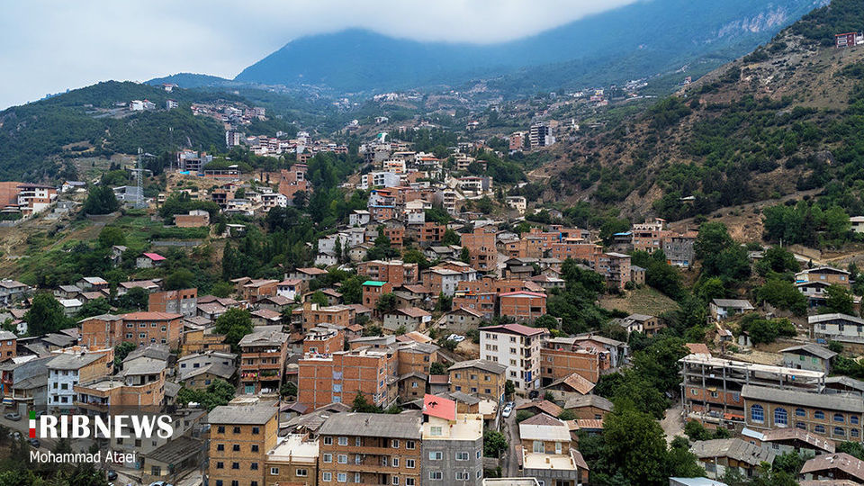 پاک تراشی، زخمی عمیق در جنگل‌های هیرکانی 