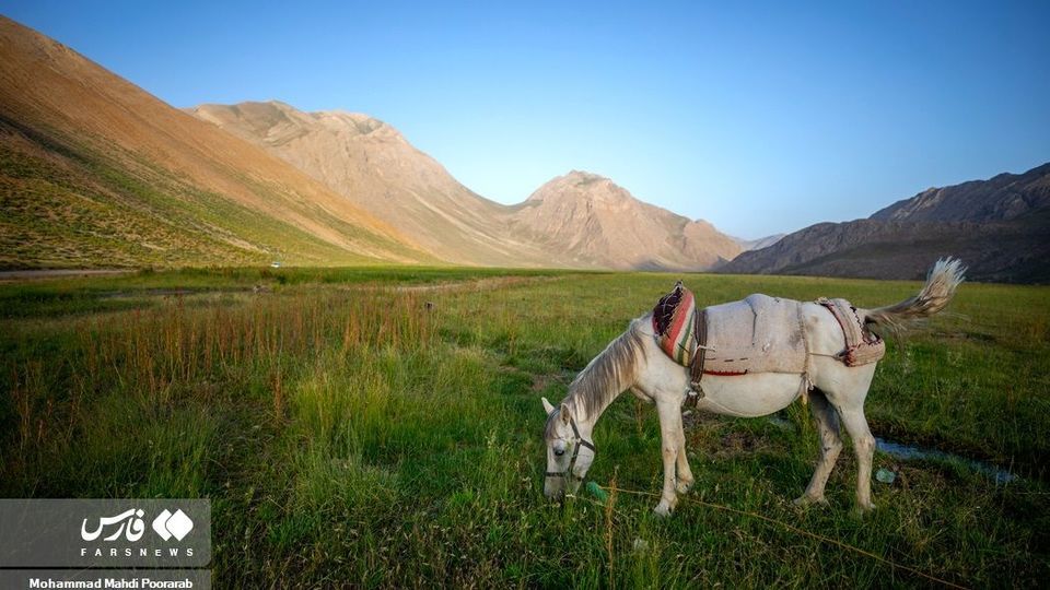 طبیعت «دشت لار»