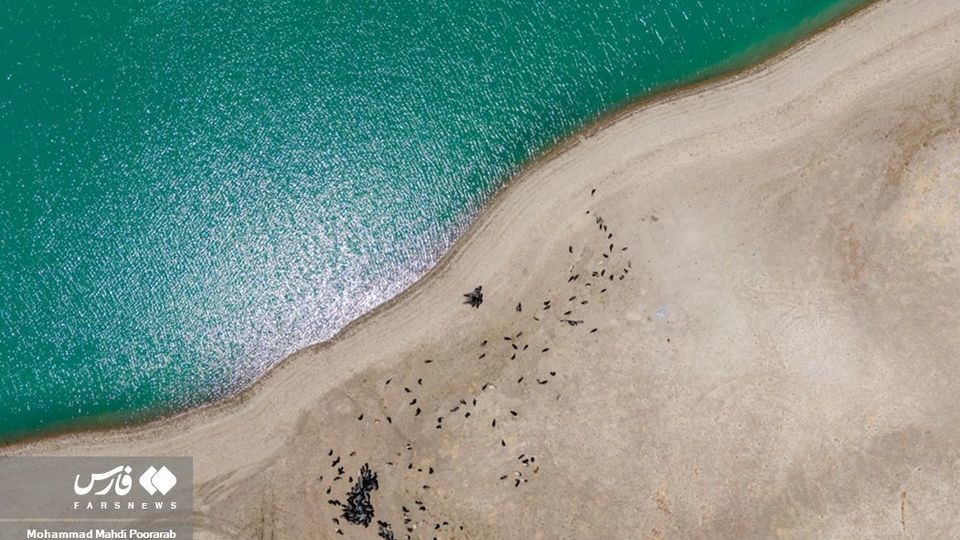 طبیعت «دشت لار»