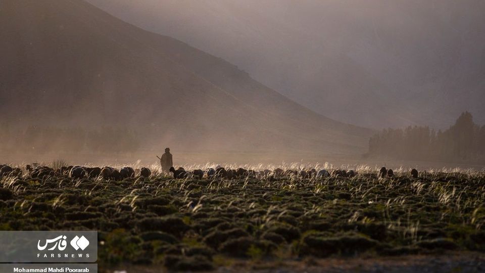 طبیعت «دشت لار»