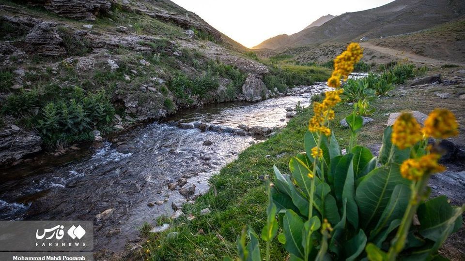 طبیعت «دشت لار»