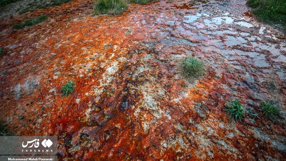 طبیعت «دشت لار»