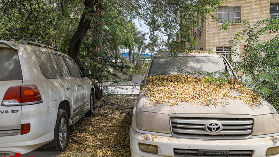 انبارهای اموال تملیکی – بندرعباس