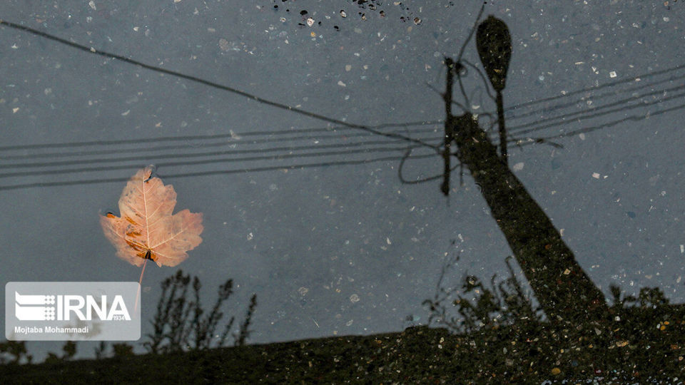 باران تابستانی در رشت