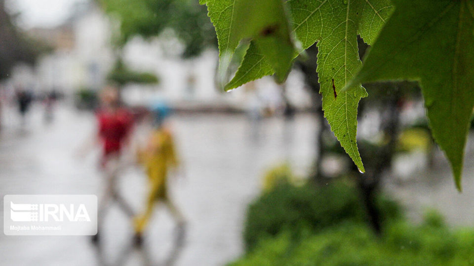 باران تابستانی در رشت