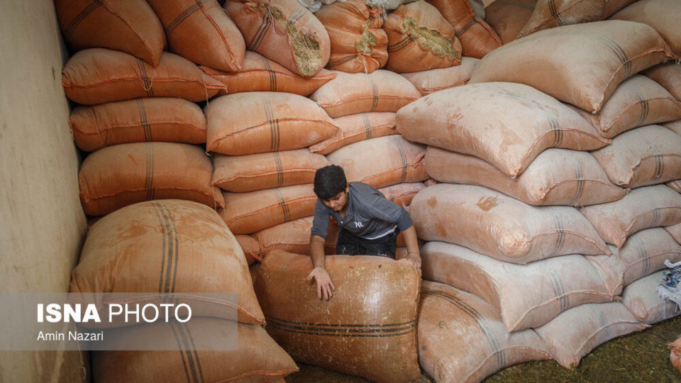 شهرستان باغملک پس از سیل - خوزستان