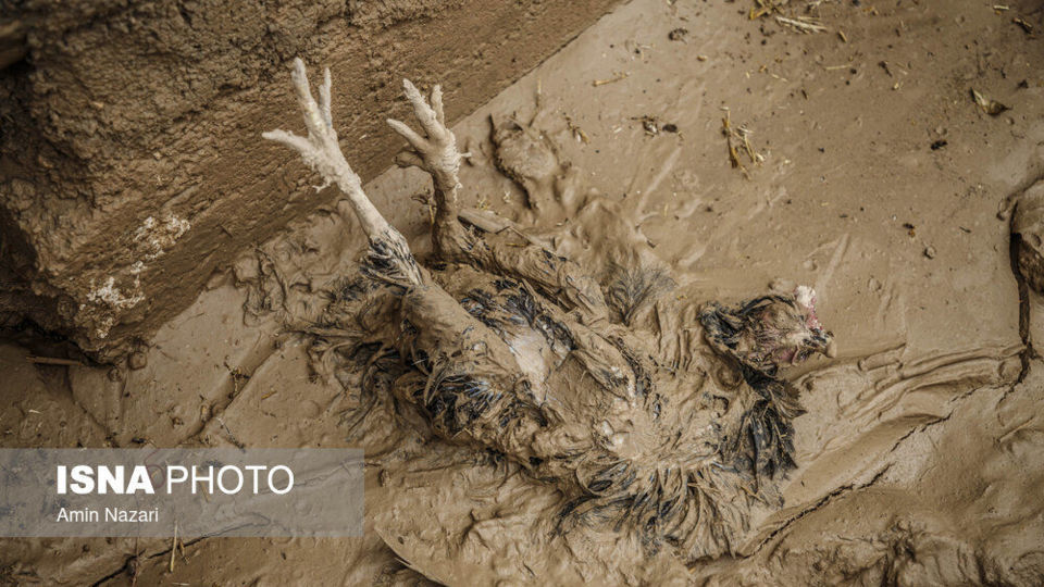 شهرستان باغملک پس از سیل - خوزستان