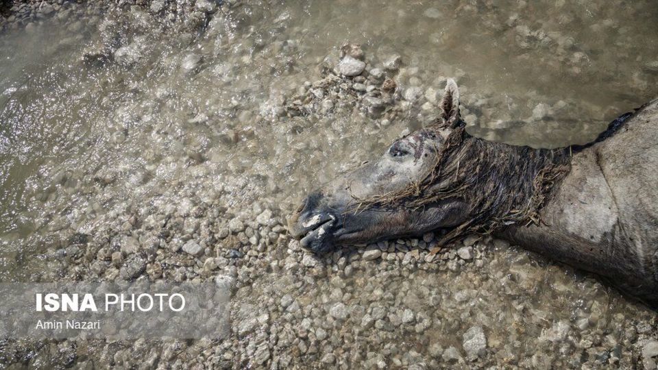 شهرستان باغملک پس از سیل - خوزستان