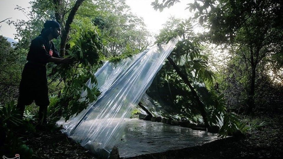  دوره ویژه زندگی در شرایط سخت و بقاء در طبیعت 