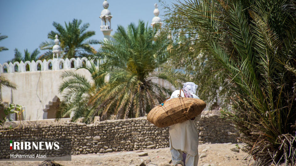 روز جهانی مساجد 