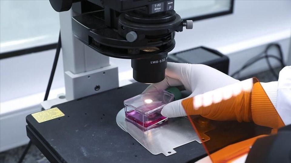 ضایعات پوستی آبله میمونی بیشتر در صورت و دست‌ها بروز می‌کند