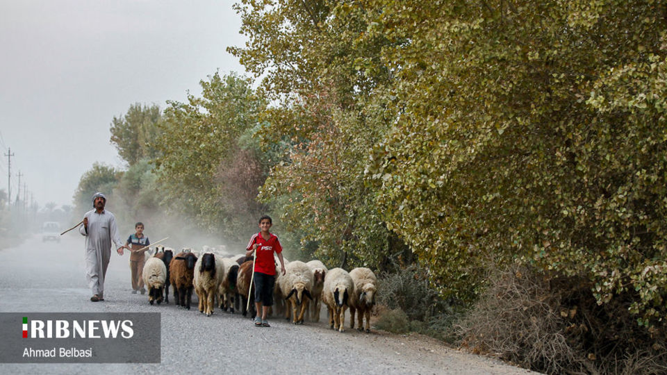مدائن ؛ پایتخت دوران باستان ایران 