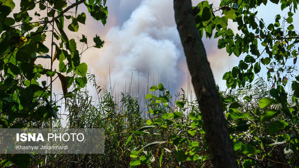 آتش سوزی تالاب انزلی