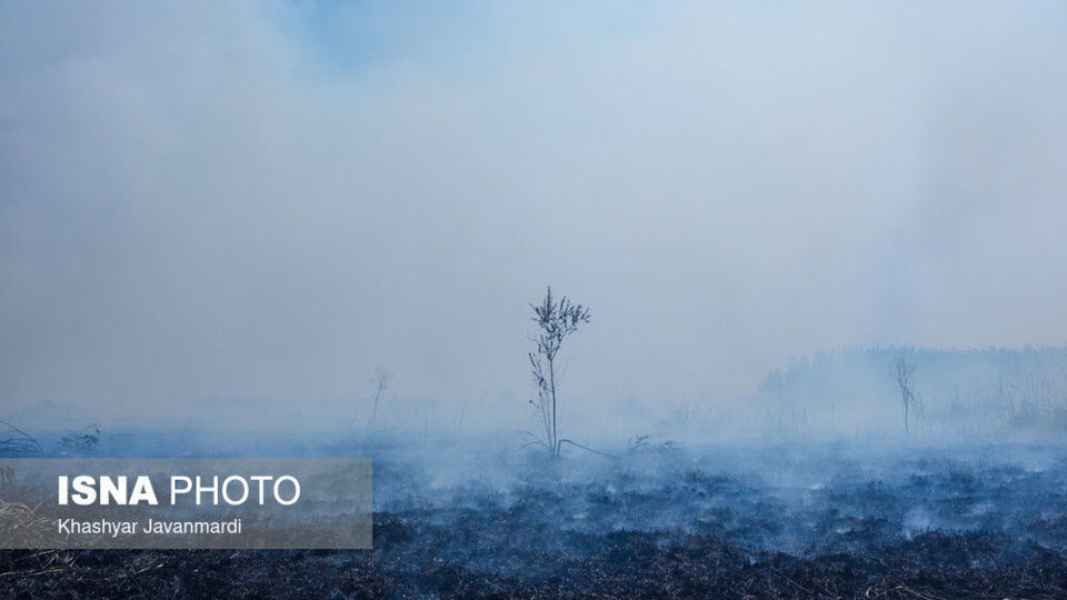 آتش سوزی تالاب انزلی