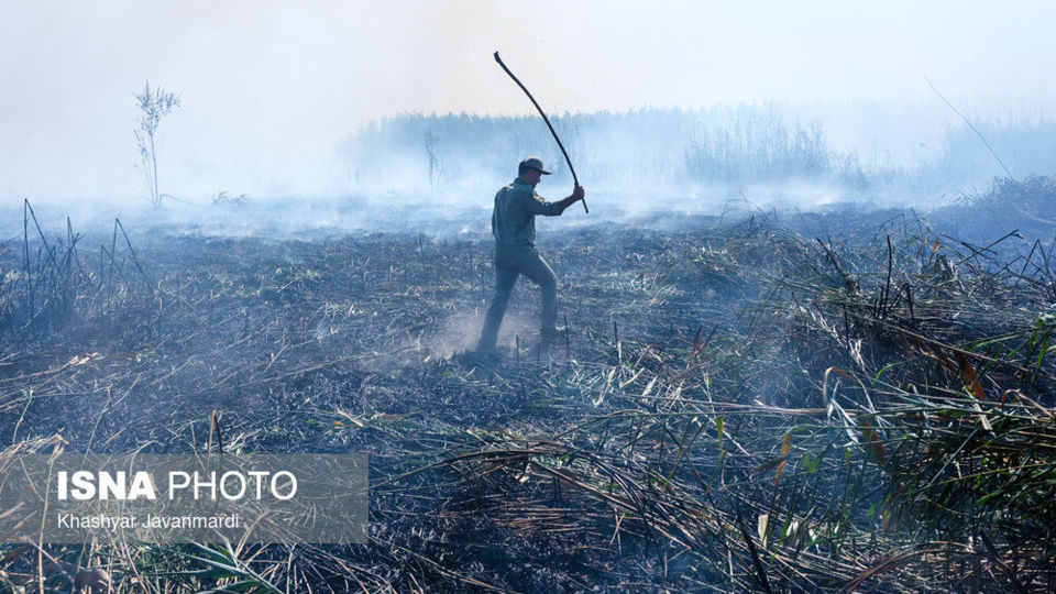 آتش سوزی تالاب انزلی