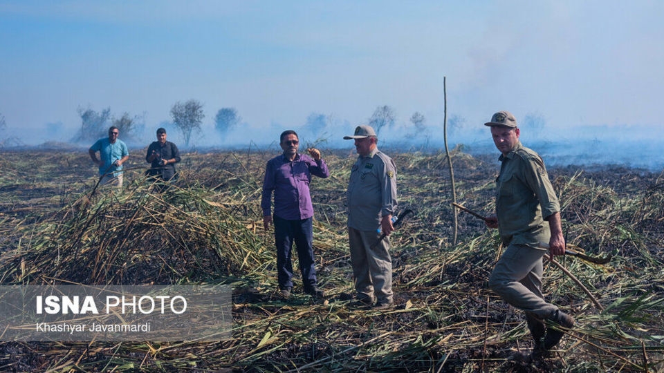 آتش سوزی تالاب انزلی