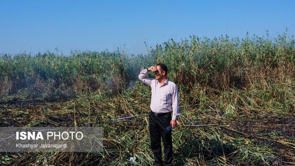 آتش سوزی تالاب انزلی