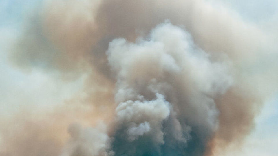 آتش سوزی تالاب انزلی