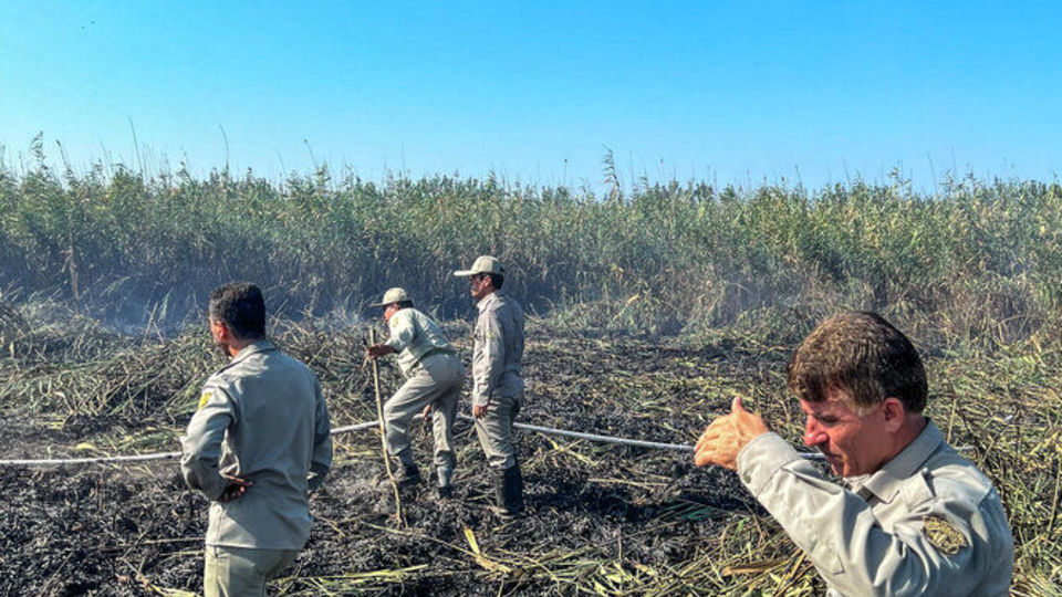 آتش سوزی تالاب انزلی