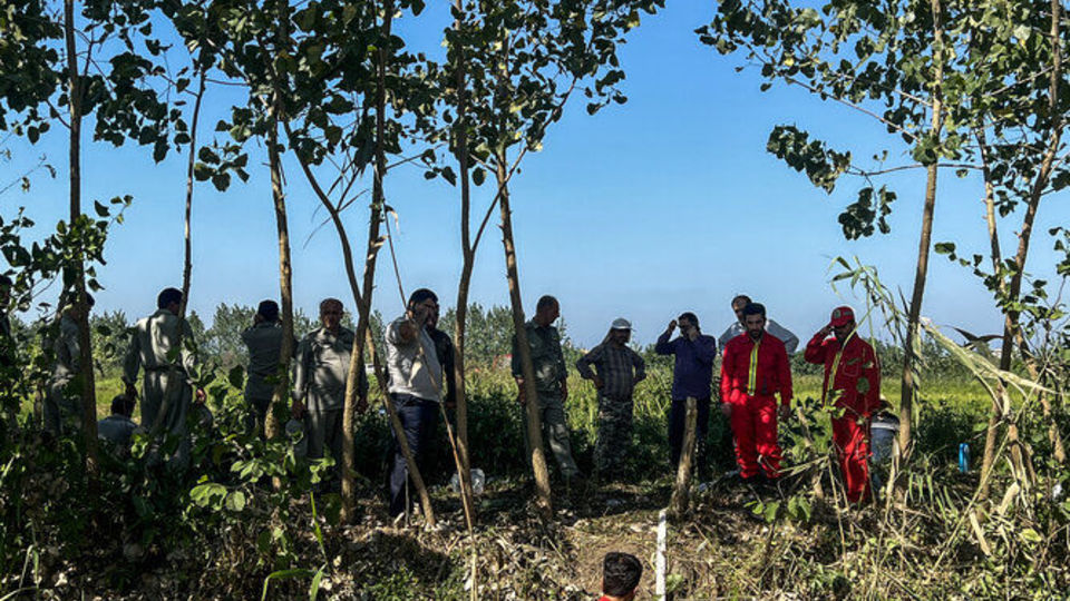 آتش سوزی تالاب انزلی