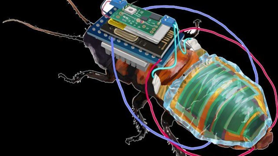 سوسک‌های قابل شارژ و قابل‌کنترل از راه دور!