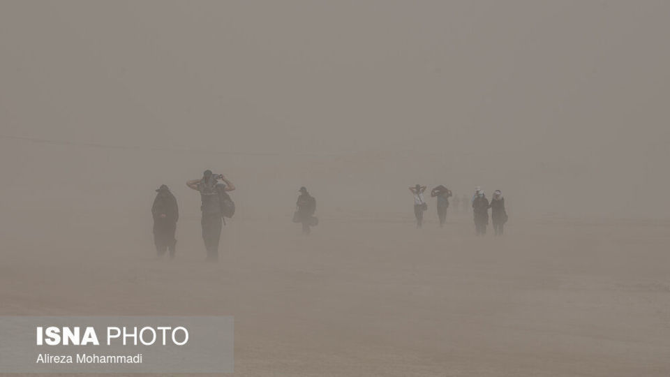 پیاده در غبار