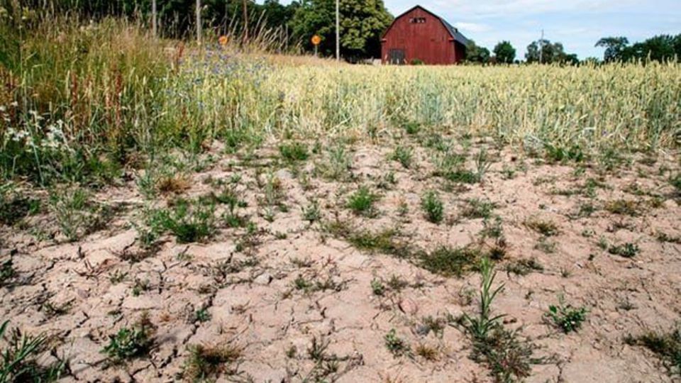 خشکسالی در چین، اروپا و آمریکا: ۲۰۲۲ خشک‌ترین سال ثبت شده بوده است؟