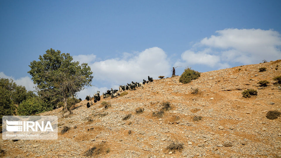 خشکی تدریجی رودخانه بازفت