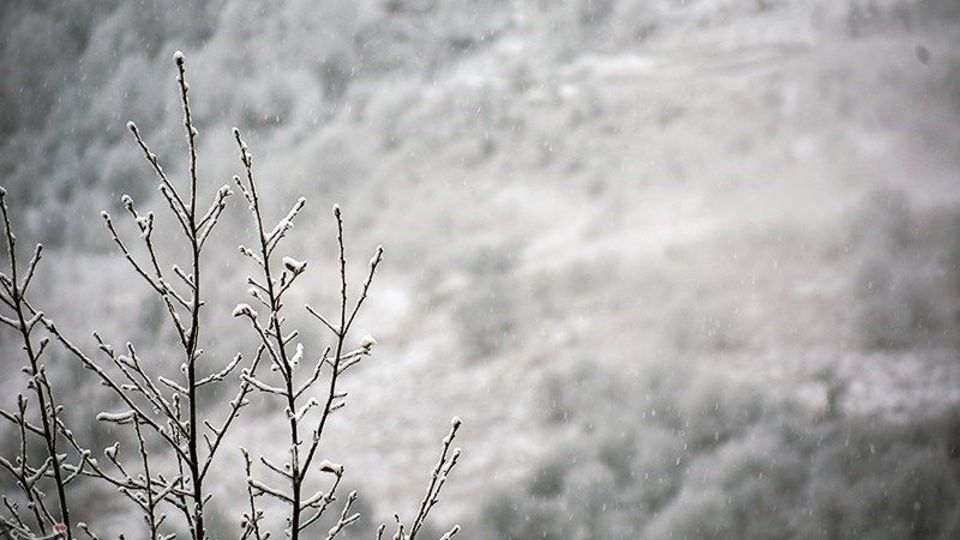  بارش برف در ارتفاعات گیلان 