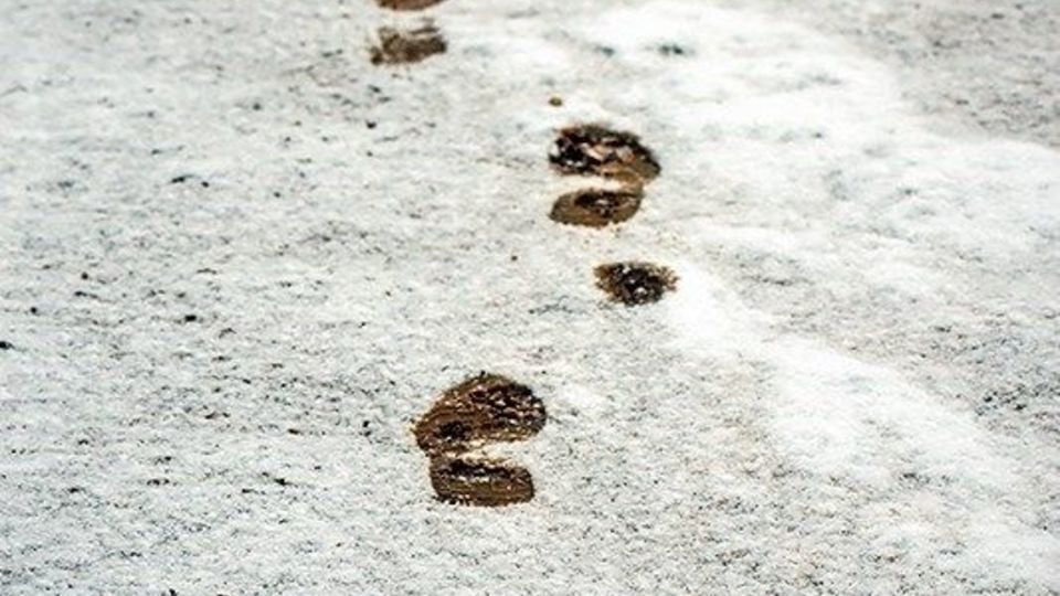  بارش برف در ارتفاعات گیلان 